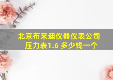 北京布来迪仪器仪表公司压力表1.6 多少钱一个